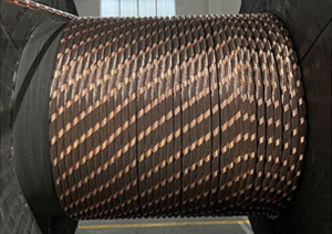 銅絲屏蔽+鋁塑縱包+黃銅帶鎧裝""